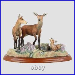 Red Hind, Follower And Calf Border Fine Arts Deer