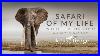 Safari_Of_My_Life_Wildlife_Photography_Documentary_With_Klaus_Tiedge_01_xqe