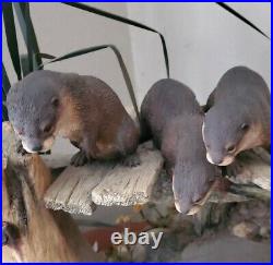 Stunning Border Fine Arts Huge Otter Piece. Limited Edition. Rrp £995