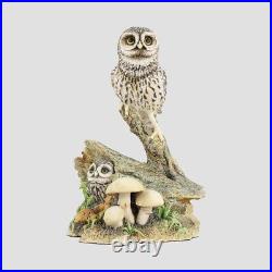 Tawny Owl And Owlet On A Tree Hollow Border Fine Arts Birds