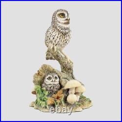 Tawny Owl And Owlet On A Tree Hollow Border Fine Arts Birds