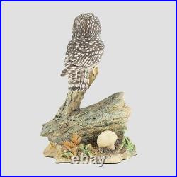 Tawny Owl And Owlet On A Tree Hollow Border Fine Arts Birds