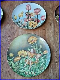 The Festival Of Flower Fairies By Cicely Mary Barker Collectable Plates Set X 9