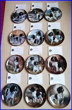 The Springer Spaniel plates by John Trickett with COA X12 Danbury Mint