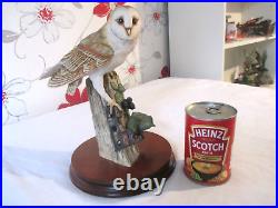 Very Large Border Fine Arts Barn Owl (RB15)