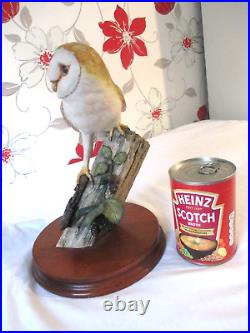 Very Large Border Fine Arts Barn Owl (RB15)